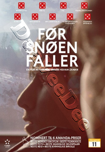 Before Snowfall (DVD)
